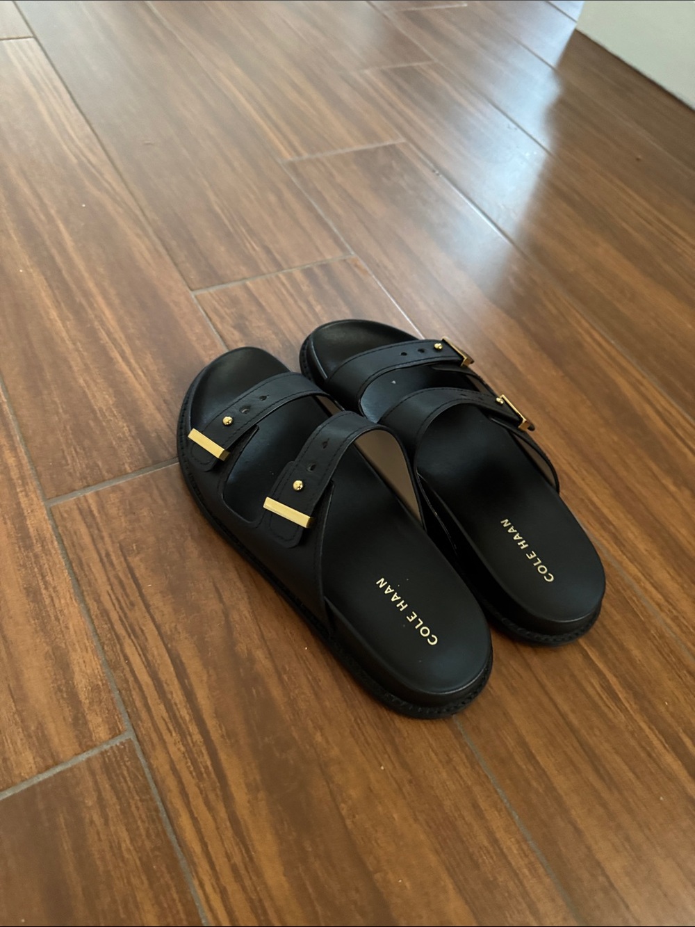 Cole Haan Black Slide Sandals with Gold Buckles